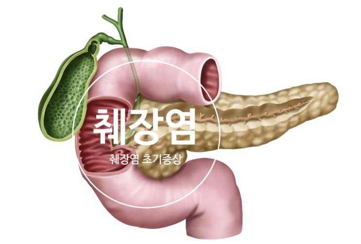 췌장염 증상 췌장염 초기 증상 : 네이버 블로그