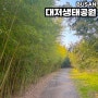 5월 부산 가볼만한곳 대저생태공원 시원한 낙동강 산책로