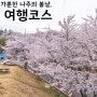 나주 한수제 벚꽃 등 4월 나주 가볼만한곳 전남 벚꽃 여행 추천