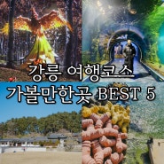 강릉 당일치기 여행코스 가볼만한곳 BEST 5