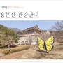 서울근교 나들이 경기도 드라이브 코스 양평 여행 용문산 관광단지