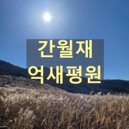 간월재 최단코스 걷는러너도 10번 다녀온 초보자용 쉬운 울산 등산코스