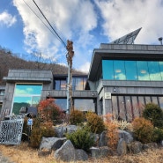 충남 공주 반포면 하신리 맛집 : 신야춘추 (정식, 천궁문어탕)