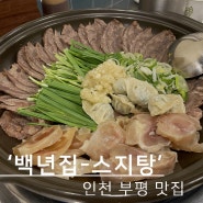 인천 부평 스지탕 맛집, 백년집 (feat. 불스지)
