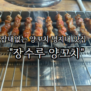 [용인/역북] 잡내없는 양꼬치 명지대 맛집 "장수루 양꼬치"
