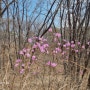 강북구 수유동, 우이동,미아동,삼양동, 송천동, 번동에서 인천공항대형택시(콜밴) 예약하여 여행을 떠나요~~