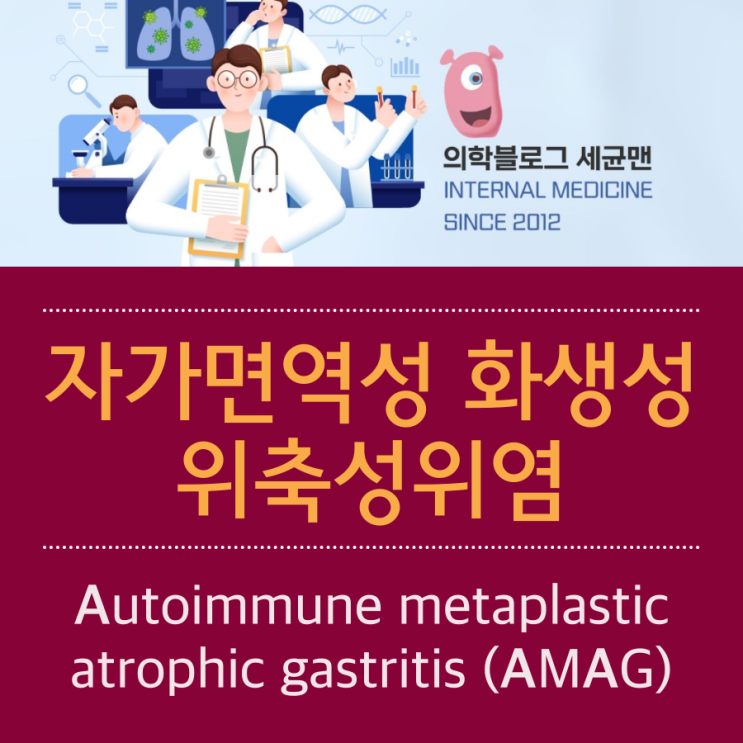 자가면역성 화생성 위축성위염, Autoimmune metaplastic atrophic gastritis (AMAG) : 네이버 블로그