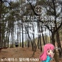 수원 광교산 일주 트레일러닝 feat. 피트니스플레이