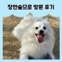 [강아지 여행] 부산 기장 애견카페 장안숲므로 애견운동장 후기 주차정보 가격