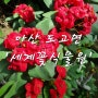 가족여행, 충남 아산 도고면 <세계꽃식물원> ㅡ 두 번째 방문 :) 20240301(금)