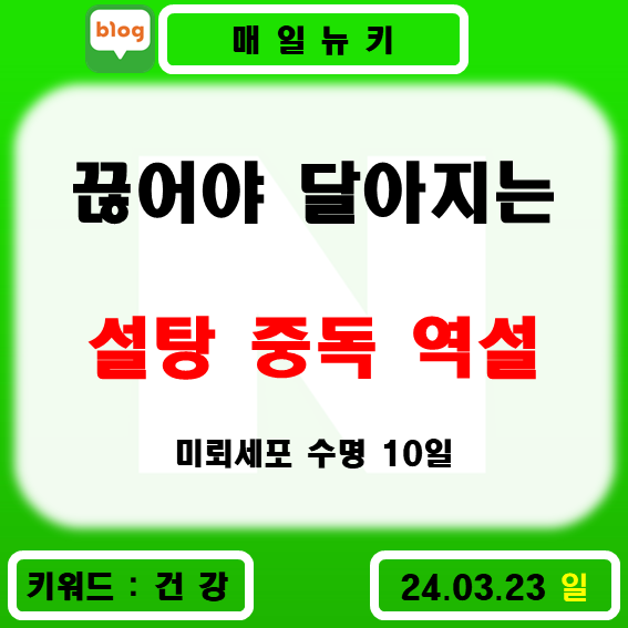 설탕역설- 가장 혹독했던.. 설탕 디톡스 4년차. 비만. 염증. 미각저하. 찬 것. 미각중독. 악순환. 미뢰 세포 수명 10일 ...