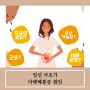 임신극초기 아랫배통증 원인이 알고 싶나요