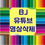 BJ 방송 불법 유출 영상 신속 삭제 가능 디지털 장의사