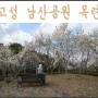 경남 고성 목련꽃 명소 남산공원 목련 만발한 목련쉼터