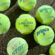 테니스 초보 가이드 테니스대회 테니스공 숫자 의미