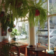 송파 데이트 식물 카페 '지유엘'에서 싱그러운 봄 느끼기