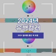 2024 유행 컬러에 따른 컬러 배경 색상 선택 및 촬영 결과 참조 자료