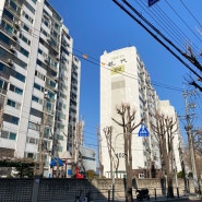 서울숲 성수현대 아파트 임장