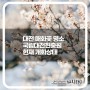 대전 매화꽃 명소 국립대전현충원 현재 개화상태