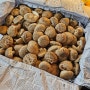 표고버섯 손질법(표고말리기)육수용, 요리용 보관법
