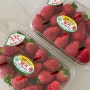 [농라 카페] 가락후르츠박스 오매지산 죽향 딸기