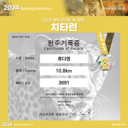 2024 랭킹 마라톤 애니멀 레이스 3월 치타런: 이번 달도 완주!