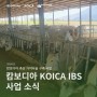 [캄보디아] KOICA IBS 사업 소식
