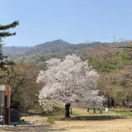 광릉추모공원 서울근거리 가까운 수목장 가족봉안묘 고려한다면