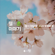 봄이 오나 봄, 2024 벚꽃축제 모아보기