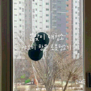 샤오미 창문 로봇청소기 3년째 사용! 봄맞이 대청소