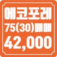 대전에코포레 75타입(30평형) 111동 고층 5호라인 매매 42000만원 고층 주인거주