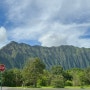 [하와이] 5박 7일 자유여행 Day 5) 호오말루히아 보태니컬 가든 야외식물원, 뵤도인 사원, 루스크리스스테이크ㅣ입장료, 주의사항, 꿀팁ㅣ가볼만한곳, 숨은 명소 🤍
