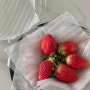 [농라 카페] 과일아지매인천 죽향, 금실 딸기