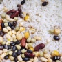 곡물마켓 콩진오 혼합콩 영양 잡곡밥 하는 방법
