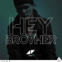 [추천 팝송] Avicii - Hey Brother [가사 뮤비][가사]
