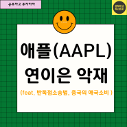 애플의 연이은 악재(feat. 줄소송, 애플 생태계, 록인효과)