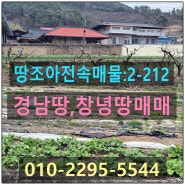 [땅조아전속중개매물:2-212] 마을 끝자락 도로,전기,수도접한 아담한 창녕땅 경남땅매매(창녕부동산,경남부동산)