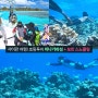[맨블] 사이판 호핑투어 '마나가하 섬투어 + 보트 스노클링 올인원 패키지' 프리다이빙! 거북이,물고기 가득
