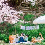 부산 벚꽃 가족사진 : 남매 우정 스냅 어린이사진