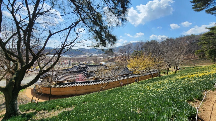 서산가볼만한곳 서산수선화축제 유기방가옥