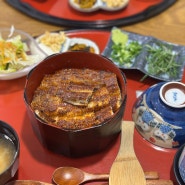 [장어] 논현역 장어덮밥 맛집 ‘유나기’ 내돈내산 솔직후기(히츠마부시 vs 우나쥬)