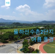 율하동 선수촌2단지 아파트 생활환경 정보 공유
