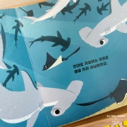 두돌 아기 보드북으로 즐기는 자연관찰 상어책
