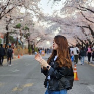 2024 벚꽃 명소, 무료입장 꿀팁, 다양한 체험과 함께 즐기는 벚꽃축제_서울 렛츠런파크