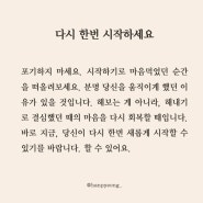 [시험관일기] 동결5차 • 4일배양 • 낮은 피검수치와 더블링 실패 그리고 임테기