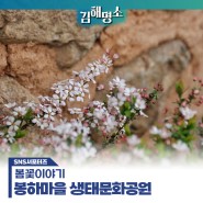 봉하마을 생태문화공원 봄꽃 이야기