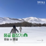 🇲🇳 한겨울의 몽골, 랜선으로 만나보세요❄️☃️ (한겨울 몽골출장기)