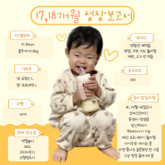 17개월 18개월 아기 발달 언어 재접근기 안아병 훈육방법 장난감 놀이