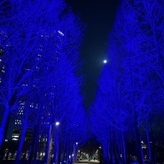 서울숲 걷기 운동 - 튤립 한가득한 4월이 낮에 찾기 좋은 곳, 서울숲!!!👍