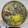 [고양시맛집] 밀미뼈칼국수-자가제면의 특별한 뼈칼국수 맛집